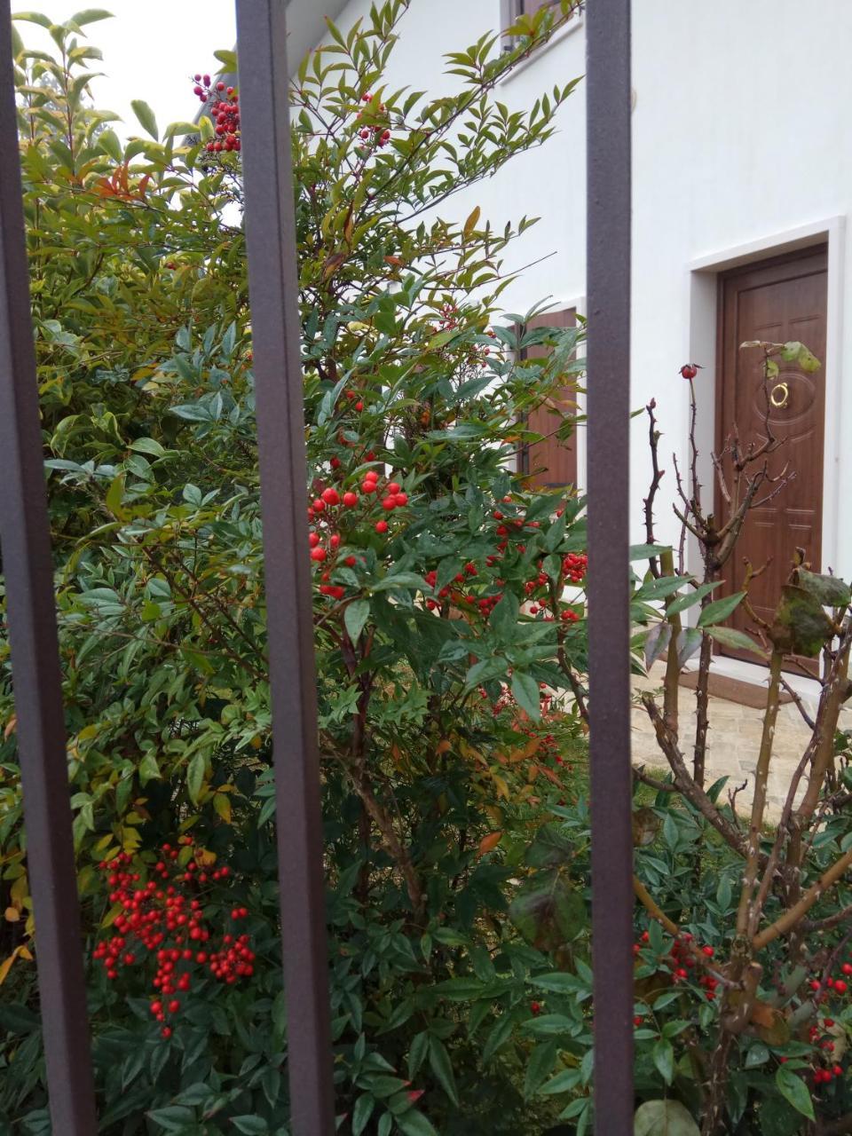 La Siesta Hotell Villafranca di Verona Exteriör bild